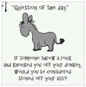Question of the Day (QOTD)